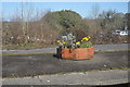 Flowers, Bere Alston Station