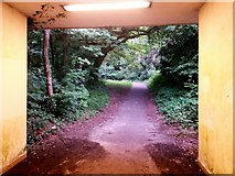 SZ0895 : Redhill: bridleway O14 comes out of the subway by Chris Downer