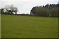 Field, Pencubitt Farm