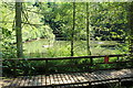 Quarry Pond, Dean Castle Country Park