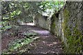 Path by the wall, Drygrange