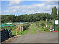 Allotments off Stubbing Lane