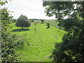 Disused  railway  line