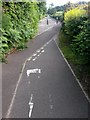 Winton: cyclists and pedestrians swap sides on bridleway N03