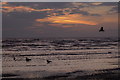 SD2814 : Gulls on the tideline at dusk on Ainsdale Sands by Mike Pennington