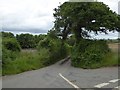 The road to Ley-Coombe from Mary Cross