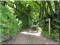 Footpath along track south of South Milton