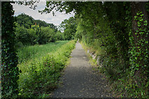 SX8672 : Stover Canal footpath by Guy Wareham