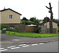 ST3091 : Severely pruned tree near a Malpas corner, Newport by Jaggery
