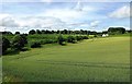 Farmland View Near Bishops Lydeard