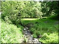 The stream of Nant Caegaru