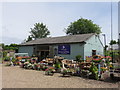 Mayfield Lavender Nursery