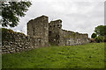N0054 : Castles of Connacht: Rindown, Co. Roscommon (6) by Mike Searle