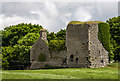 N0626 : Castles of Leinster: Clonlyon, Co. Offaly (2) by Mike Searle