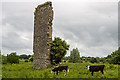 N1248 : Castles of Leinster: Kilkenny West, Co. Westmeath by Mike Searle