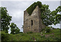 N3473 : Castles of Leinster: Boherquill, Co. Longford (1) by Mike Searle