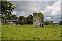 N8718 : Castles of Leinster: Castle Rag, Co. Kildare (1) by Mike Searle