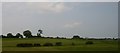 Fields at Stretton Heath