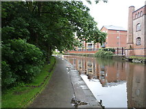 SK5639 : Towpath, Nottingham Canal by JThomas