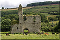 S7956 : Castles of Leinster: Rathnageeragh, Co. Carlow (1) by Mike Searle