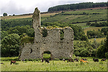 S7956 : Castles of Leinster: Rathnageeragh, Co. Carlow (1) by Mike Searle