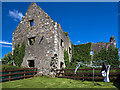 O2811 : Castles of Leinster: Killincarrig, Co. Wicklow (1) by Mike Searle