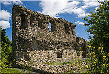 O2711 : Castles of Leinster: Kindlestown, Co. Wicklow by Mike Searle