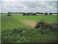 View from a Norwich-Great Yarmouth train - fields near Burlingham