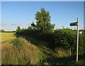 Footpath to Sawston