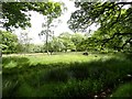 Site of medieval manor house at Castle Steads