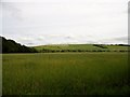 NZ1842 : View across the fields west of Esh Winning by Robert Graham