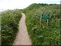 Path beside Thurlestone Golf Club