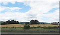 J0510 : Cropland east of the N52 (Dundalk Bypass) by Eric Jones