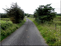H5375 : Fernagh Road by Kenneth  Allen