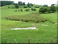 Marshy area, east of Cyfronydd Station