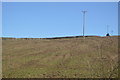 Poles crossing a field