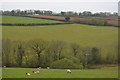 Rolling Cornish landscape