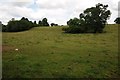 Field near Quarry Farm, Epwell