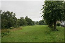 NS5751 : The Common, Eaglesham by Richard Sutcliffe
