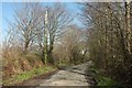 Lane to Honeycroft Cross