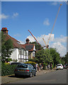 Cranes over Rustat Road