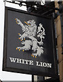 The White Lion