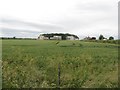 Arable field at West Brunton farm