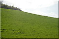 Field near Branston