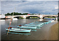 Boats by the Bridge