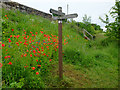 The West Highland Way at Gartness