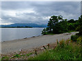 East shore of Loch Lomond