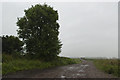 A farm track on to Halsall Moss