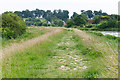 TQ0206 : Riverside path along the Arun by Alan Hunt