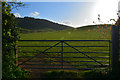 West Somerset : Grassy Field & Gate